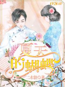 夏天的蝴蝶