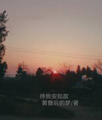 待我安如故