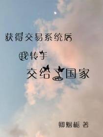 获得交易系统后我转手交给了国家