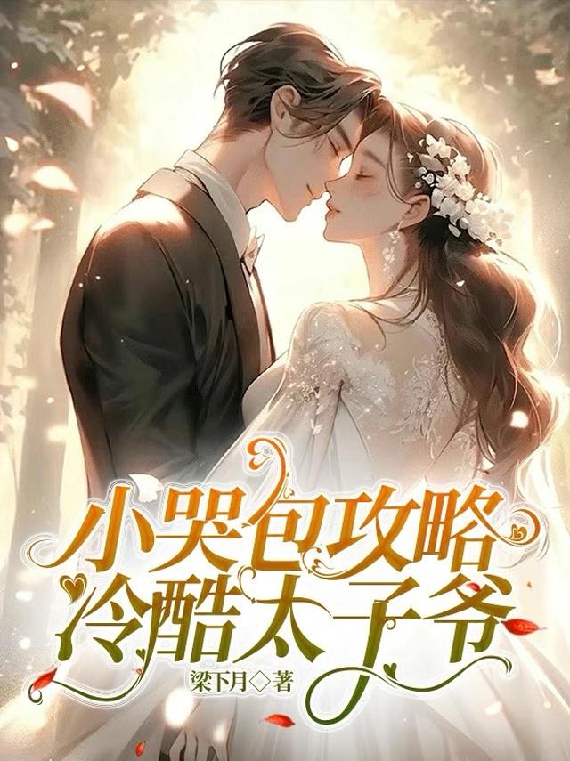 小哭包攻略冷酷太子爷