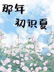 那年初识夏