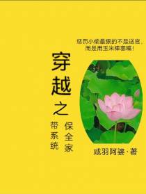 穿越之带系统保全家