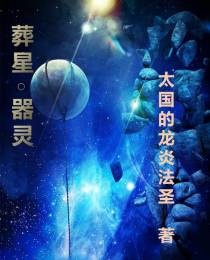 葬星器灵