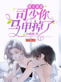 傻夫宠妻：司少你马甲掉了
