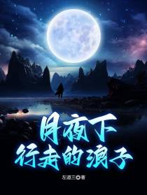 月夜下行走的浪子