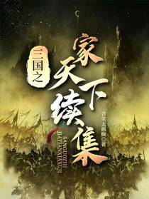 三国之家天下续集