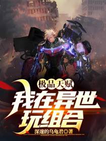 极品天赋,我在异世玩组合