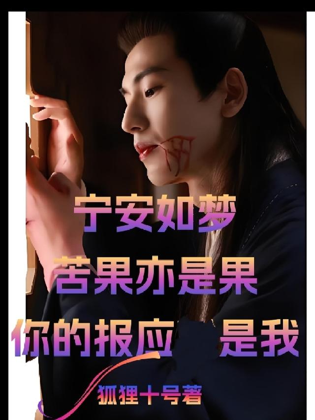 宁安如梦苦果亦是果你的报应是我