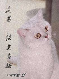 盗墓：往生当铺