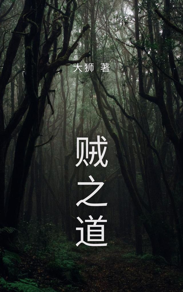 贼之道