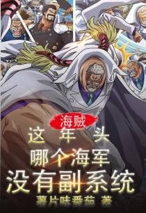 这年头,哪个海军没副系统？
