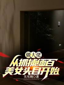 做大佬,从抓捕缅百美女头目开始