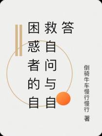 困惑者的自救自问与自答
