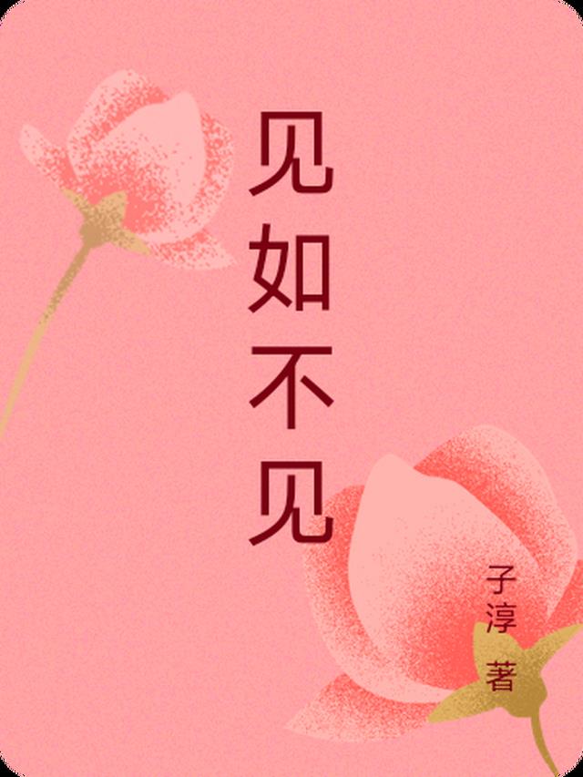 见如不见