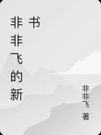 非非飞的新书