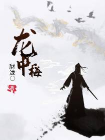 龙中梅