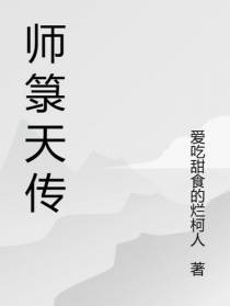 师箓天传