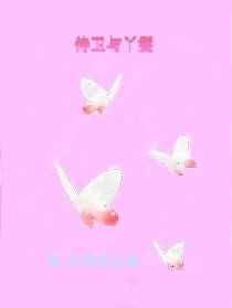 侍卫与丫鬟