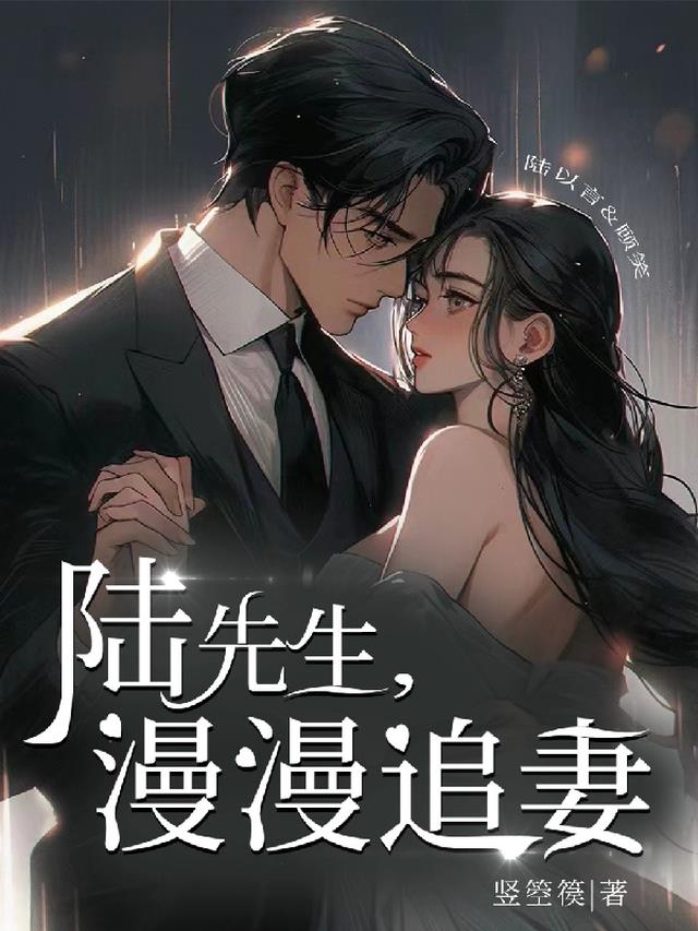 陆先生,漫漫追妻