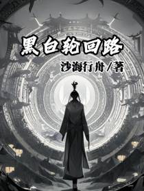 黑白轮回路