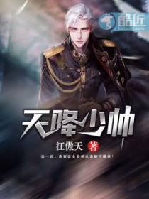 天降少帅