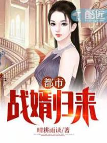 都市战婿归来