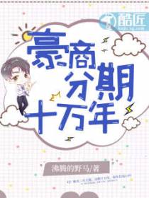 豪商分期十万年