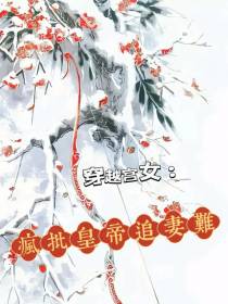 穿越宫女：疯批皇帝追妻难