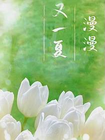 漫漫又一夏