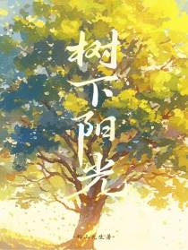 树下阳光