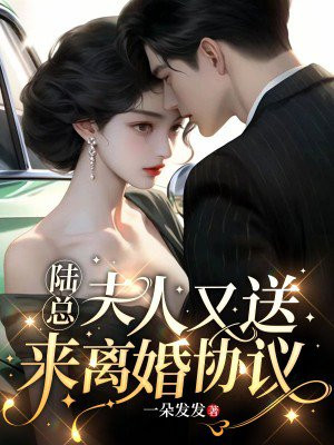 陆总,夫人又送来离婚协议