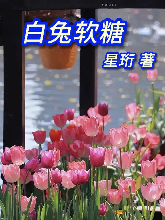 白兔软糖