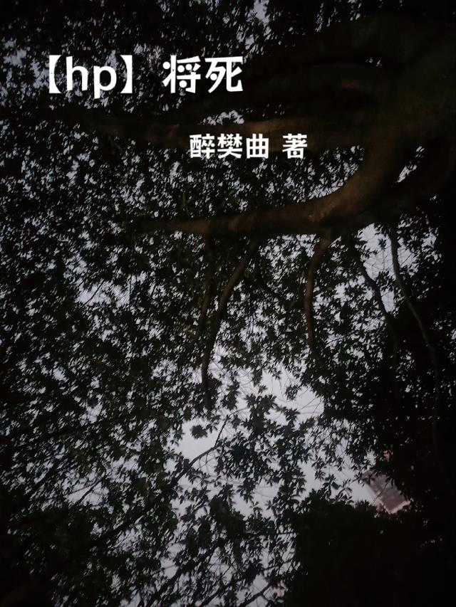 【hp】将死