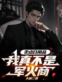 卖点日用品,我真不是军火商