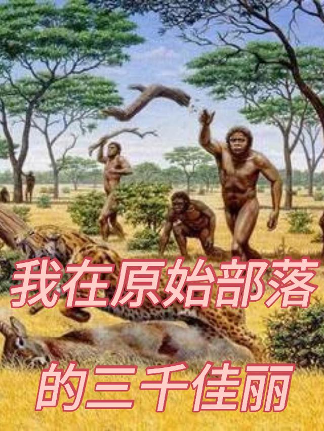 我在原始部落的三千佳丽