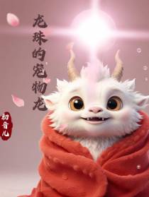 龙珠的宠物龙