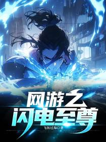 网游之闪电至尊