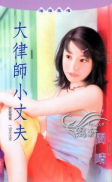大律师小丈夫
