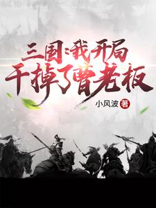 三国：我开局干掉了曹老板