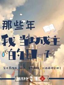 那些年我当城主的日子