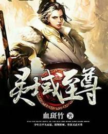 灵域至尊