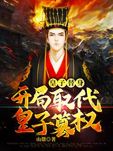 皇子替身，开局取代皇子篡权