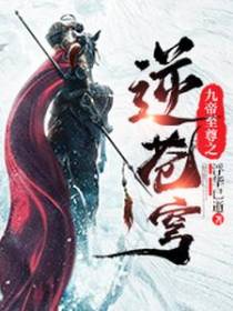 九帝至尊之逆苍穹
