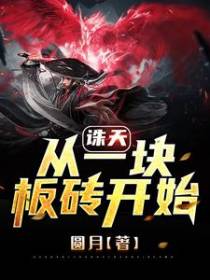 诛天，从一块板砖开始