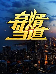 弃婿当道
