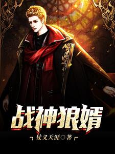 战神狼婿