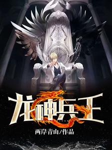 龙神兵王