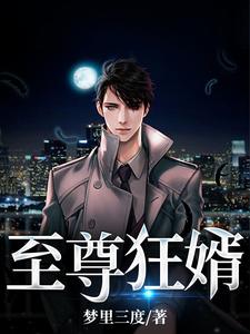 至尊狂婿