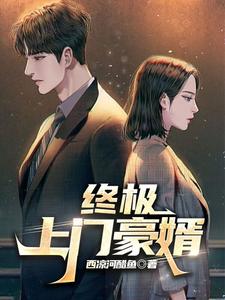 终极上门豪婿