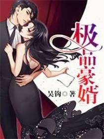 极品豪婿